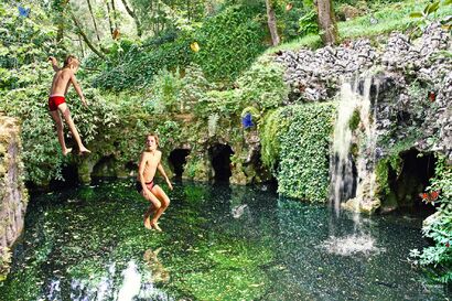 Mondi Inanimati#forest - A Photographic Art Artwork by Antonella Zito