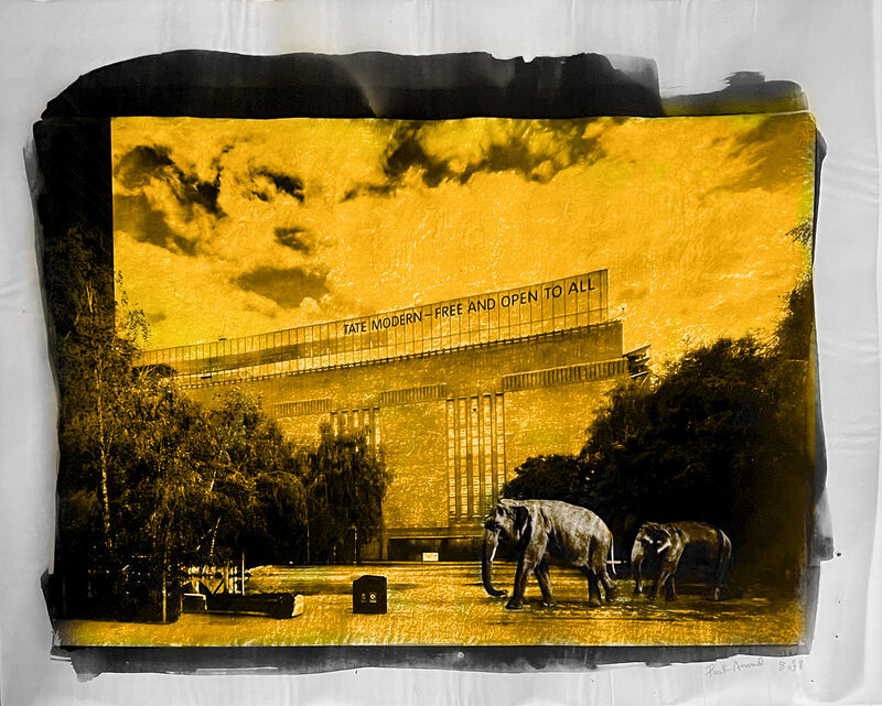 Elephants Enjoy a Day at the Tate - a Photographic Art by Paal Anand
