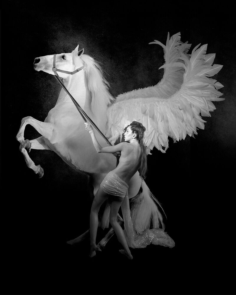 Andromeda rears Pegasus - a Photographic Art by Paal Anand