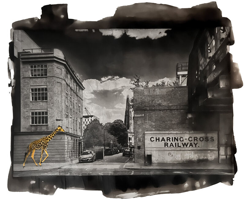 Giraffe at Charing Cross - a Photographic Art by Paal Anand