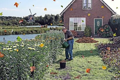 Mondi Inanimati#Countryside - A Photographic Art Artwork by Antonella Zito