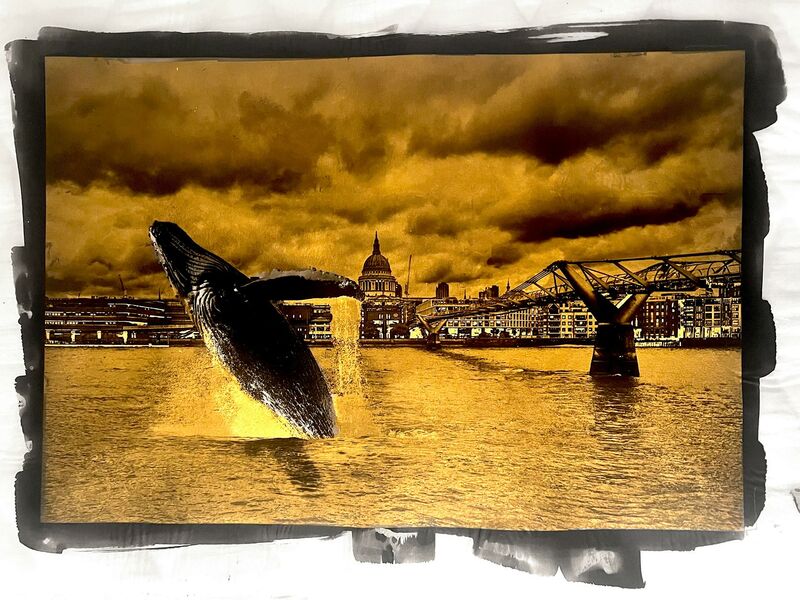 The London Whale - a Photographic Art by Paal Anand