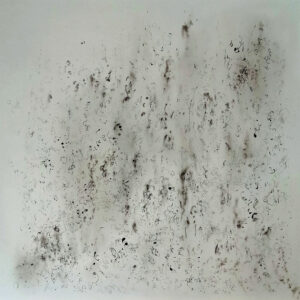 Frederique-Nolet-de-Brauwere